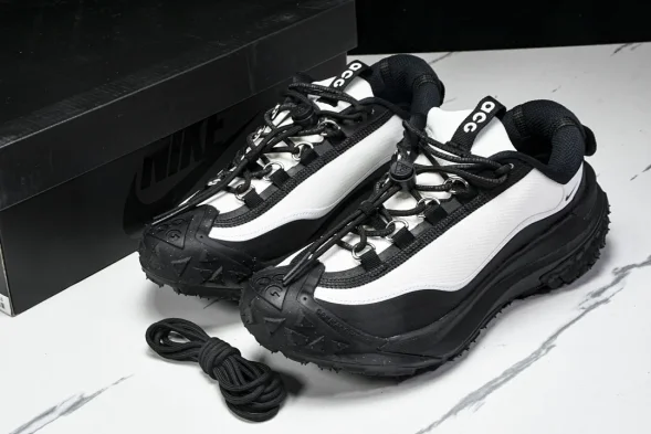 Nike ACG Mountain Fly 2 Low SP FZ3311-101 