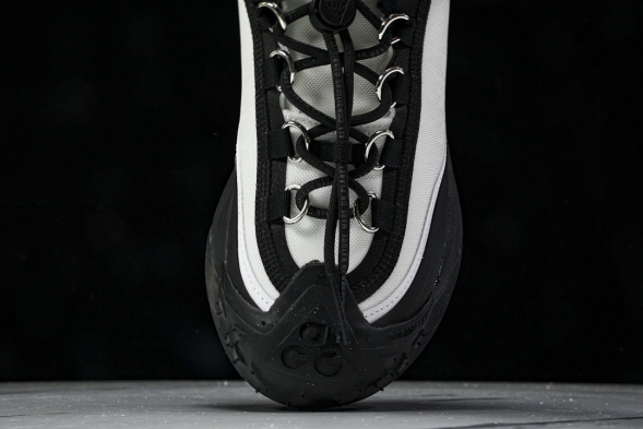 Nike ACG Mountain Fly 2 Low SP FZ3311-101 