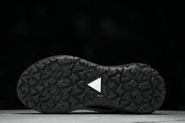 Nike ACG Mountain Fly 2 Low SP FZ3311-101 