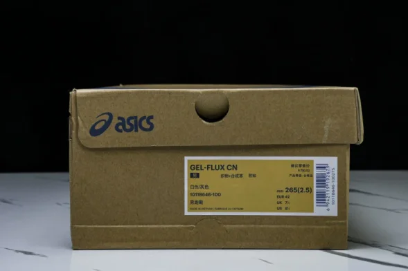 Asics Gel-Flux 4 CN 1011B646-100 