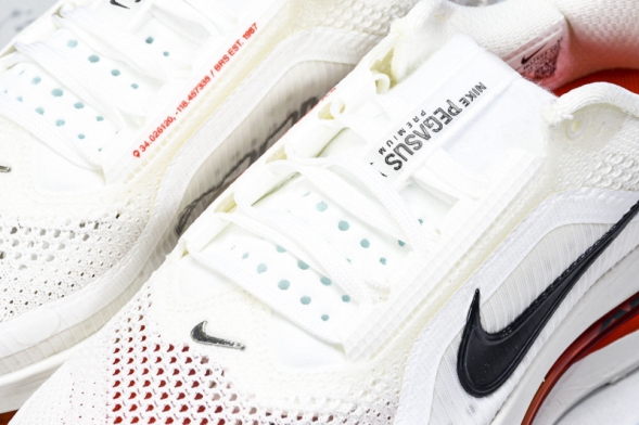 Nike Air Zoom Pegasus Premium HQ2592-101 