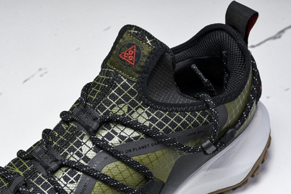 Nike ACG Mountain Fly Low GTX SE D09334 300 