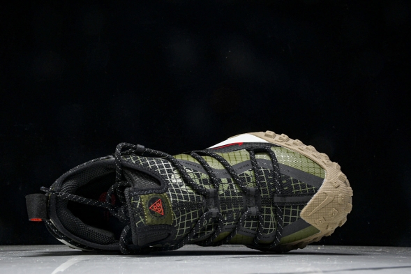 Nike ACG Mountain Fly Low GTX SE D09334 300 