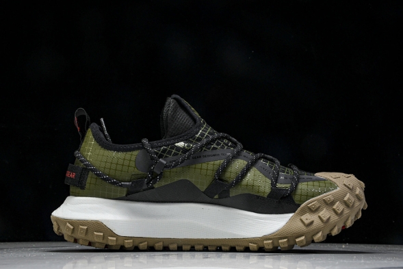 Nike ACG Mountain Fly Low GTX SE D09334 300 