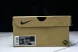 Nike ACG Mountain Fly Low GTX SE DD2861 200 