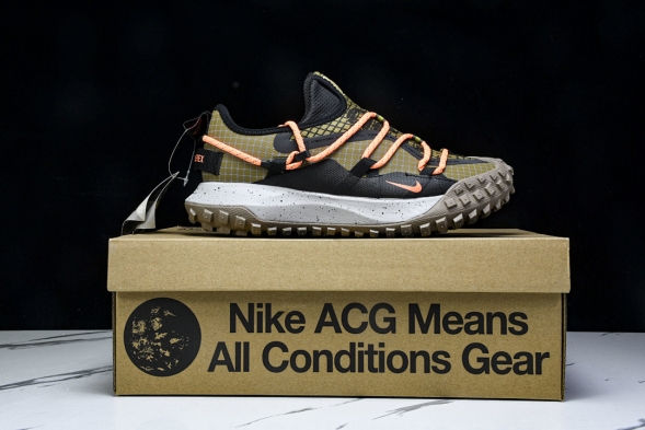 Nike ACG Mountain Fly Low GTX SE DD2861 200 