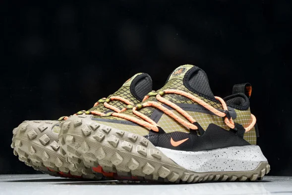 Nike ACG Mountain Fly Low GTX SE DD2861 200 