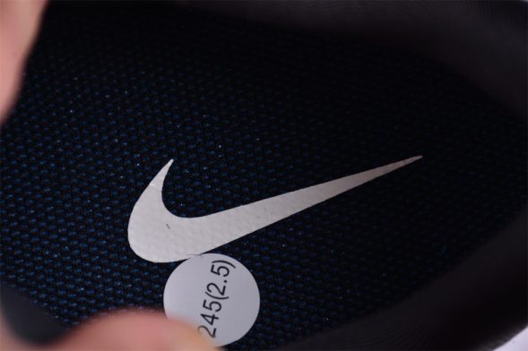 Nike Pegasus Trail 5 DV3864-001 