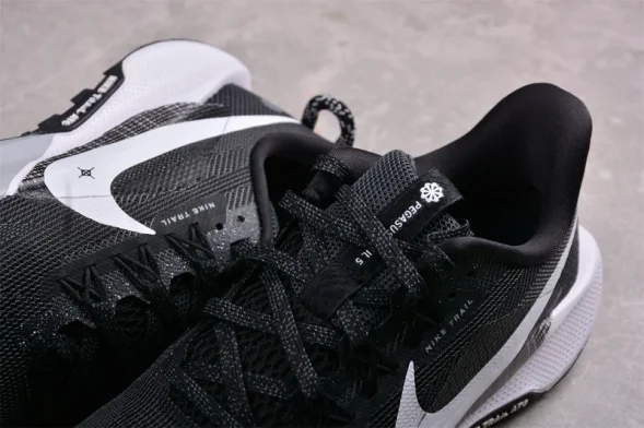 Nike Pegasus Trail 5 DV3864-001 
