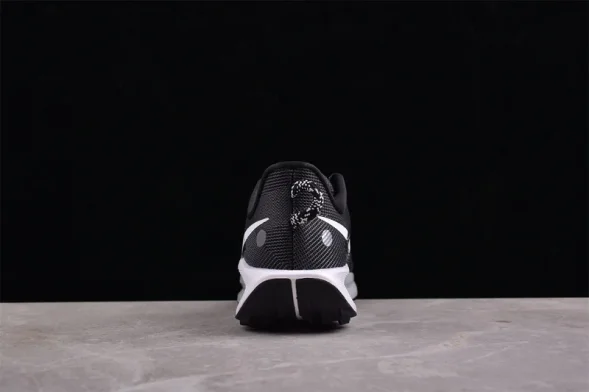 Nike Pegasus Trail 5 DV3864-001 
