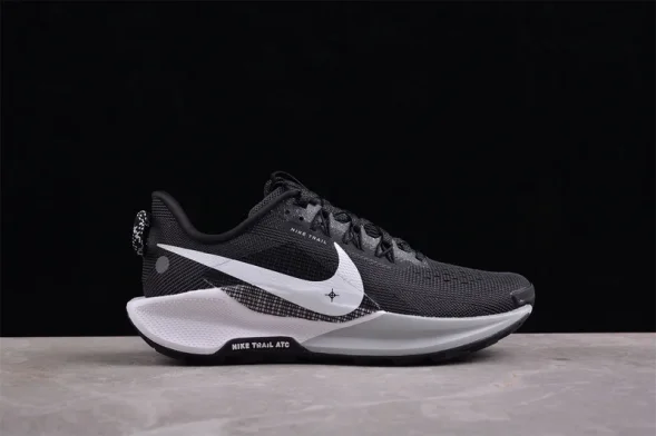 Nike Pegasus Trail 5 DV3864-001 
