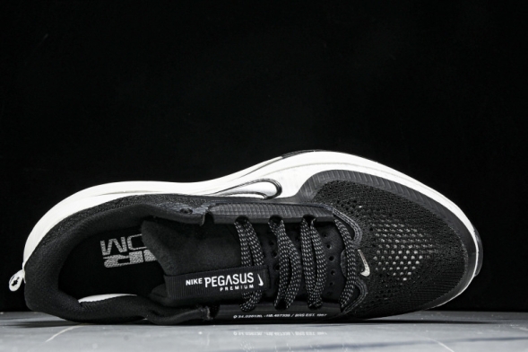 Nike Air Zoom Pegasus Premium HQ2592-008 