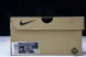 Nike ACG Mountain Fly Low GTX SE DQ1979-500 
