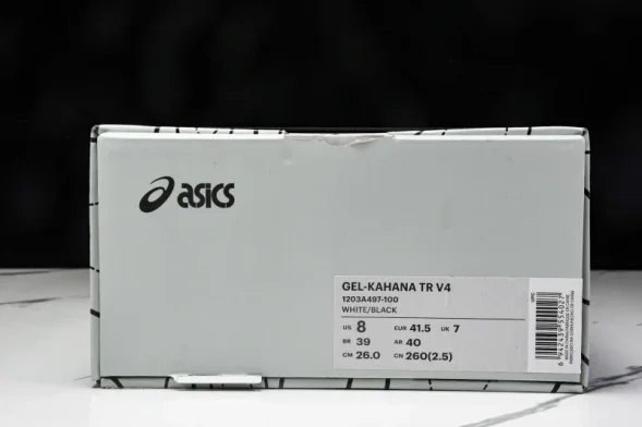 Asics Gel-Kahana TR V4 1203A497-100 