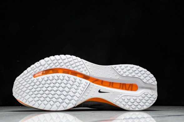 Nike Air Zoom Pegasus Premium HQ2592-002 