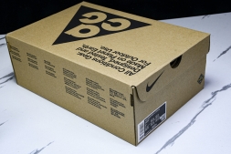 Nike ACG Mountain Fly Low GTX SE DD2861 010