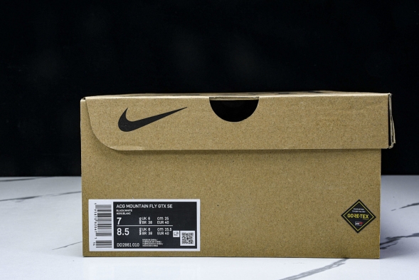 Nike ACG Mountain Fly Low GTX SE DD2861 010 