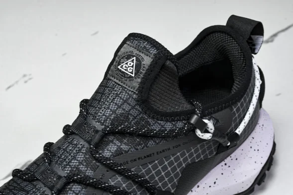 Nike ACG Mountain Fly Low GTX SE DD2861 010 