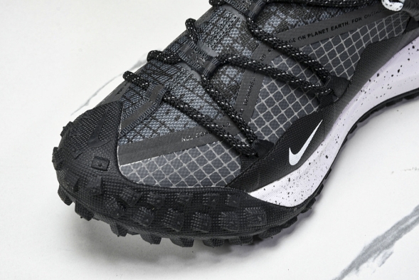 Nike ACG Mountain Fly Low GTX SE DD2861 010 