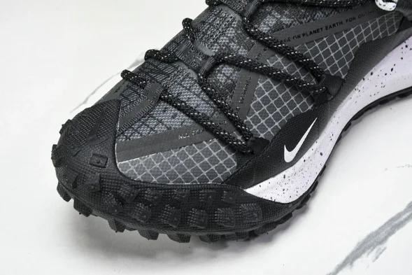 Nike ACG Mountain Fly Low GTX SE DD2861 010 