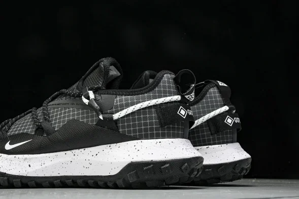 Nike ACG Mountain Fly Low GTX SE DD2861 010 