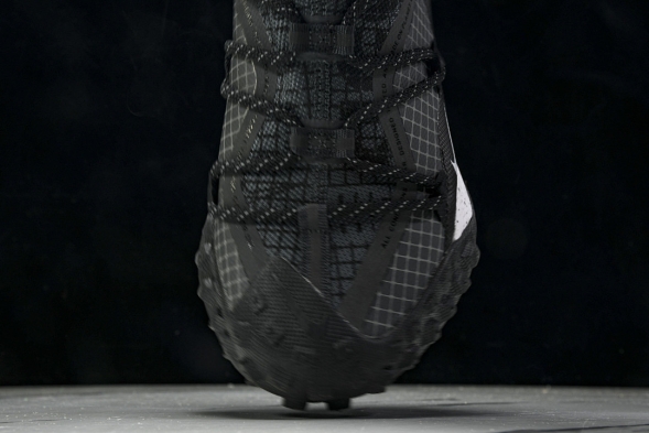 Nike ACG Mountain Fly Low GTX SE DD2861 010 