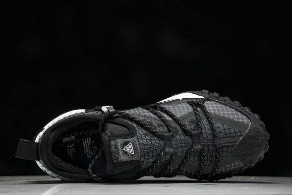 Nike ACG Mountain Fly Low GTX SE DD2861 010 