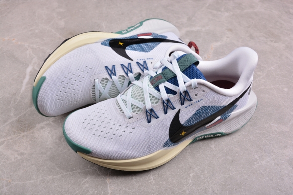 Nike Pegasus Trail 5 DV3864-100 