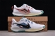 Nike Pegasus Trail 5 DV3864-100 