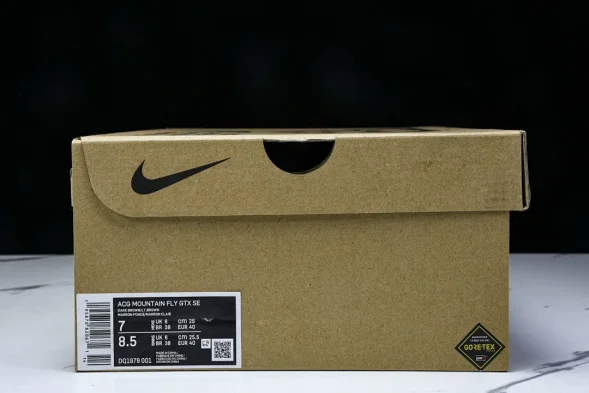Nike ACG Mountain Fly Low GTX SE DQ1979 001 