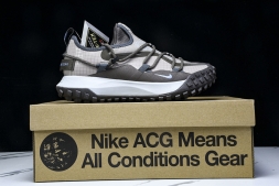 Nike ACG Mountain Fly Low GTX SE DQ1979 001