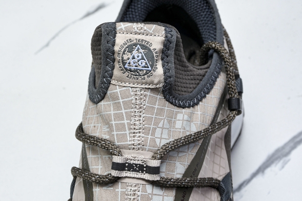 Nike ACG Mountain Fly Low GTX SE DQ1979 001 