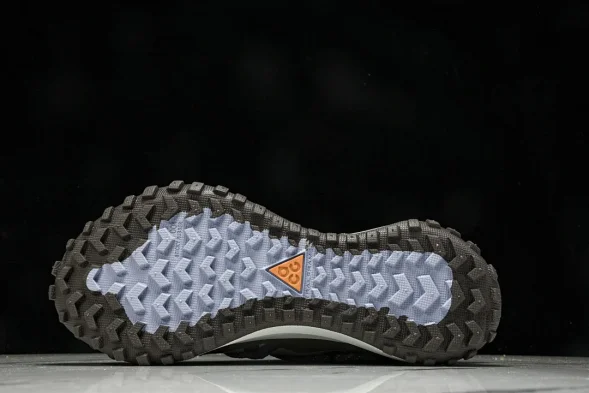 Nike ACG Mountain Fly Low GTX SE DQ1979 001 
