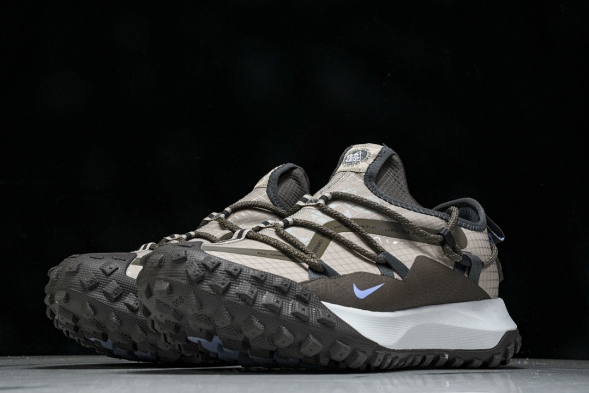 Nike ACG Mountain Fly Low GTX SE DQ1979 001 