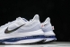 Nike Air Zoom Pegasus Premium HQ2592-004 