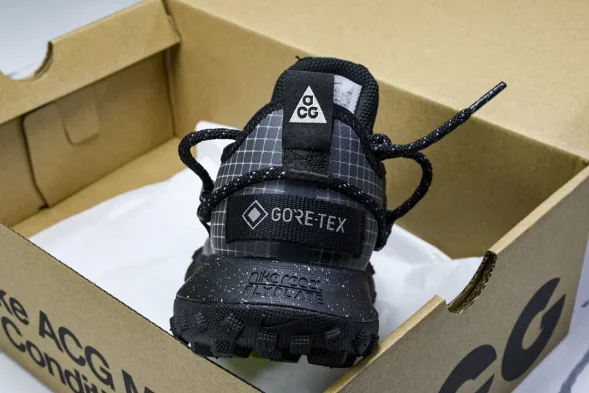 Nike ACG Mountain Fly Low GTX SE DD2861 002 