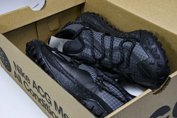 Nike ACG Mountain Fly Low GTX SE DD2861 002 