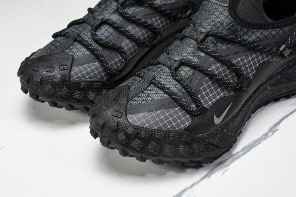 Nike ACG Mountain Fly Low GTX SE DD2861 002 