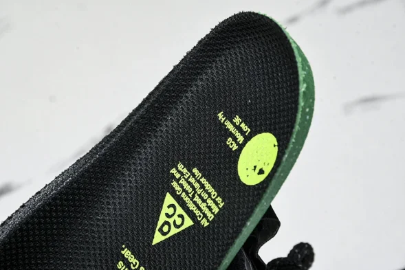 Nike ACG Mountain Fly Low GTX SE DD2861 002 