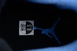 Nike Air Jordan 4 SE University Blue CT8527-400