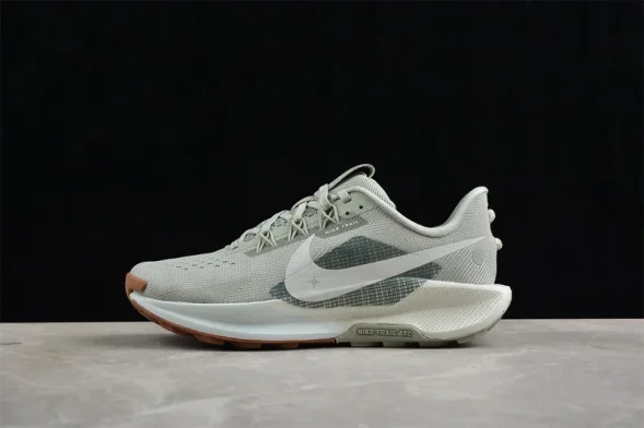 Nike Pegasus Trail 5 DV3864-304 