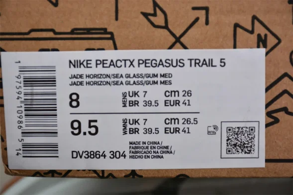 Nike Pegasus Trail 5 DV3864-304 