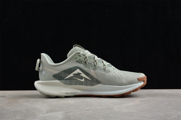 Nike Pegasus Trail 5 DV3864-304 