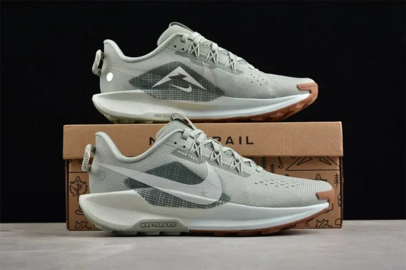 Nike Pegasus Trail 5 DV3864-304 