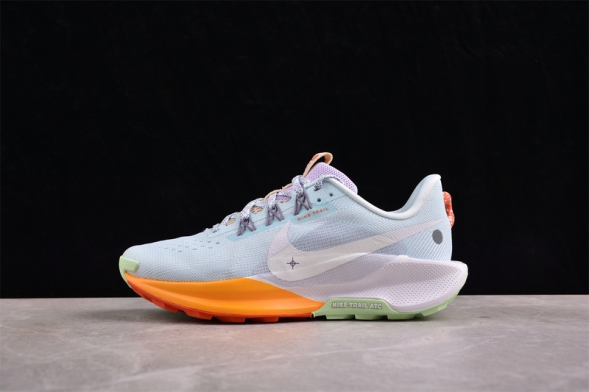 Nike Pegasus Trail 5 DV3865-402 