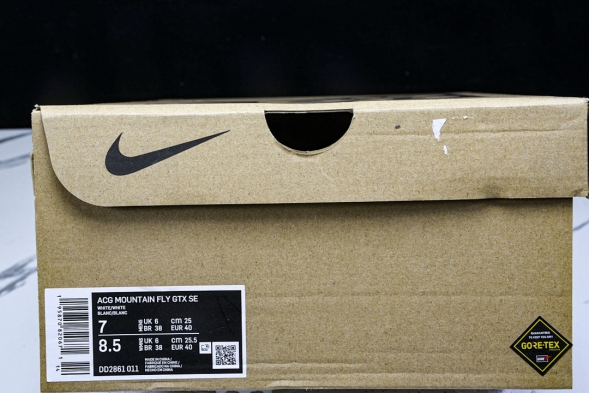 Nike ACG Mountain Fly Low GTX SE DD2861 011 