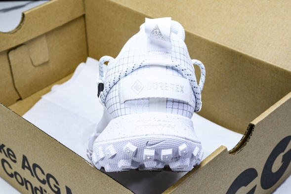 Nike ACG Mountain Fly Low GTX SE DD2861 011 