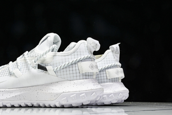 Nike ACG Mountain Fly Low GTX SE DD2861 011 