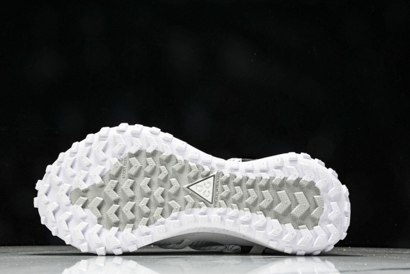 Nike ACG Mountain Fly Low GTX SE DD2861 011 