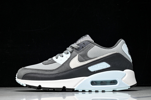 Nike Air Max 90 DM0029 009  
